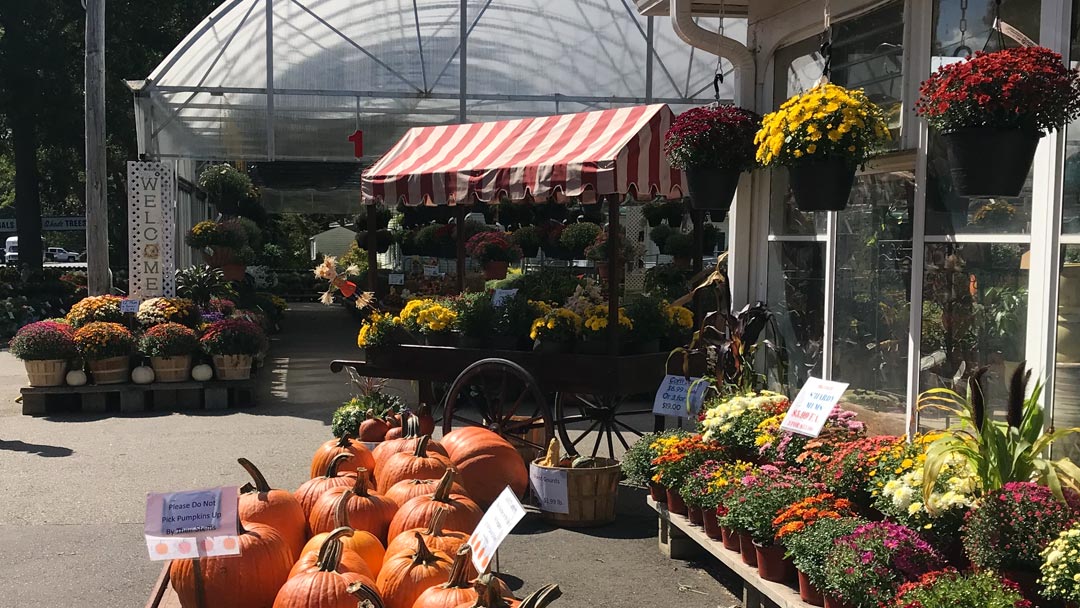 The Shops at Pumpkintown